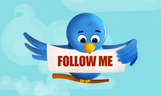 How To Increase The Number Of Followers On Twitter