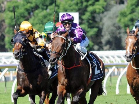 Cox Plate The Most Welcomed Race Course Internationally