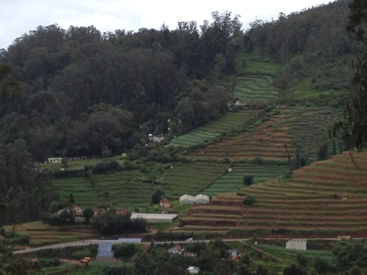 ooty-lake-images-photos-50cb32f9e4b00cef5bf60e36