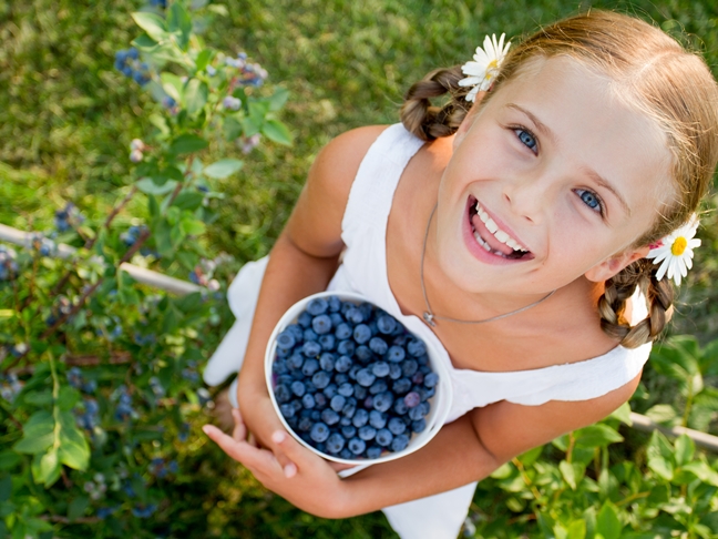 file_176275_0_Berry_Picking