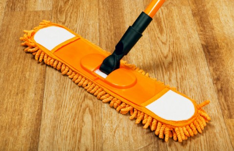 mop for hardwood floor