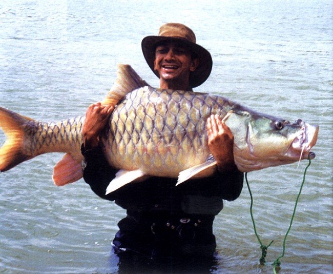 Bheemeshwari Fishing