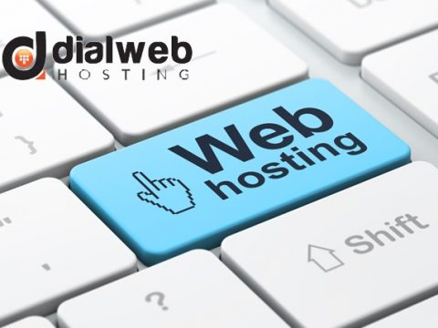 What You Need from A Web Hosting Provider In India