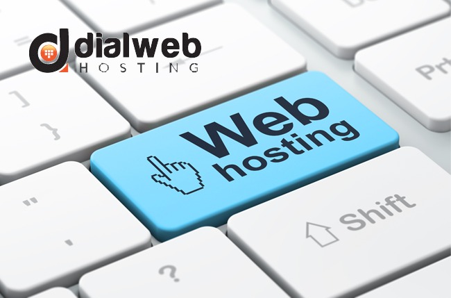 What You Need from A Web Hosting Provider In India