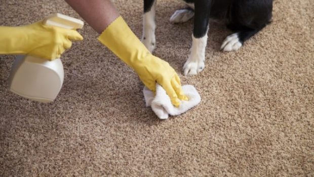 4 Homemade Products To Clean Carpets