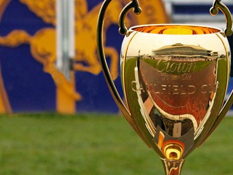 The Caulfield Cup: Odds For This Year