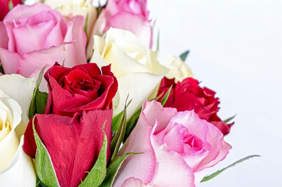 Make The Holiday Season Even More Special With The Gift Of Flowers