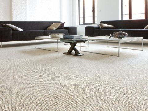 Necessity Of Hiring A Commercial Carpet Cleaning Service In Toronto