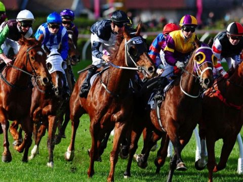 What Are The Few Types Of Horse Racing Events?