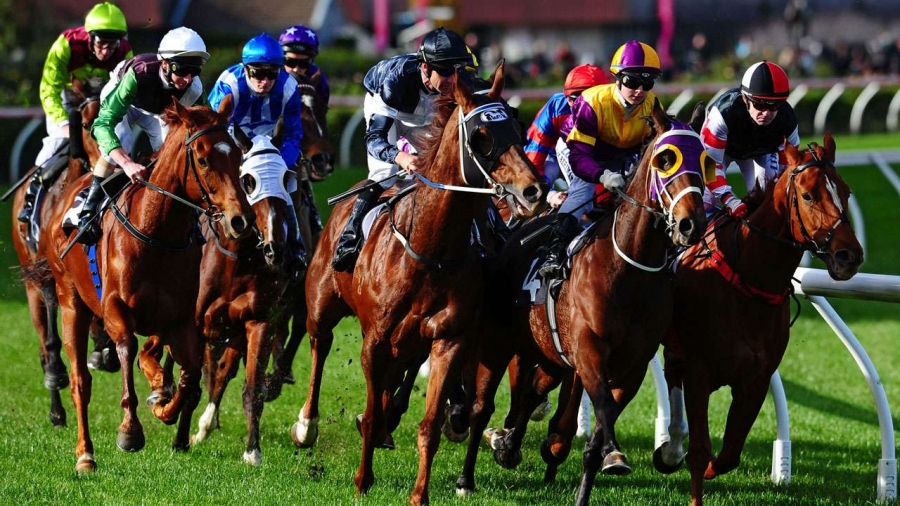 What Are The Few Types Of Horse Racing Events?